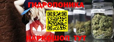 мяу мяу мука Усть-Джегута